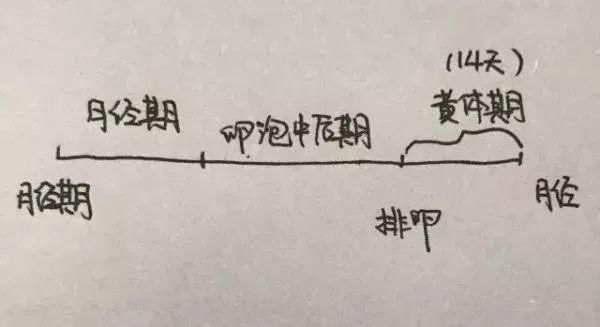 女白领夜跑致大出血险些丧命!黄体期这些注