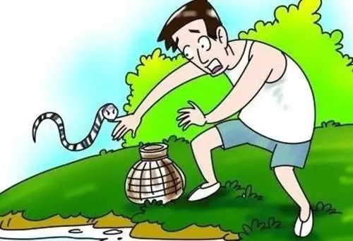 当心!蛇出没!清明踏青不慎被咬伤怎么办?