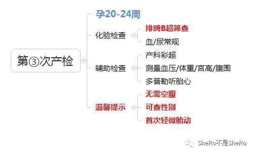 孕妈必备,产检时间表&检查内容