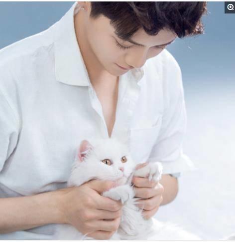 鹿晗与猫 你的好友"最帅铲屎官"上线