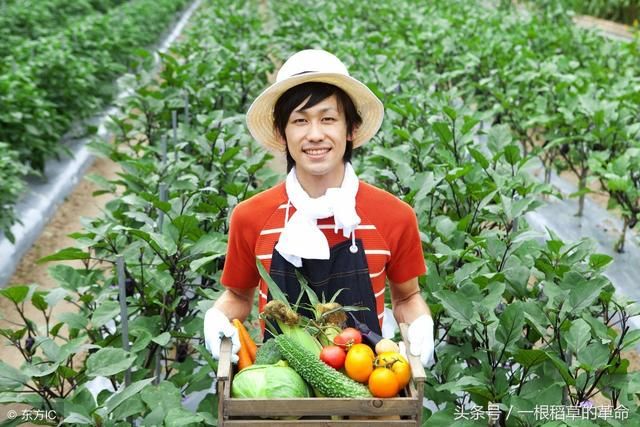 透过日本农业发展模式学习农业强国经验