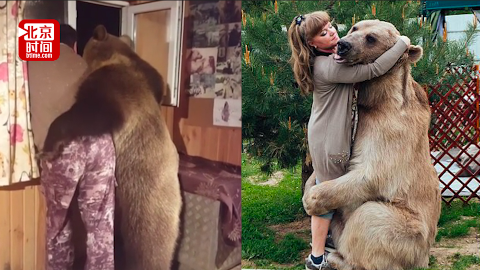 和熊一起亲亲抱抱举高高？俄罗斯男子养两只熊 不仅不咬人还能扫雪