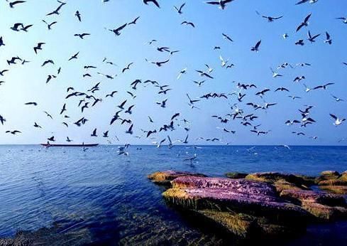 云南一神秘湖泊,飞机飞到上空便会突然仪器失