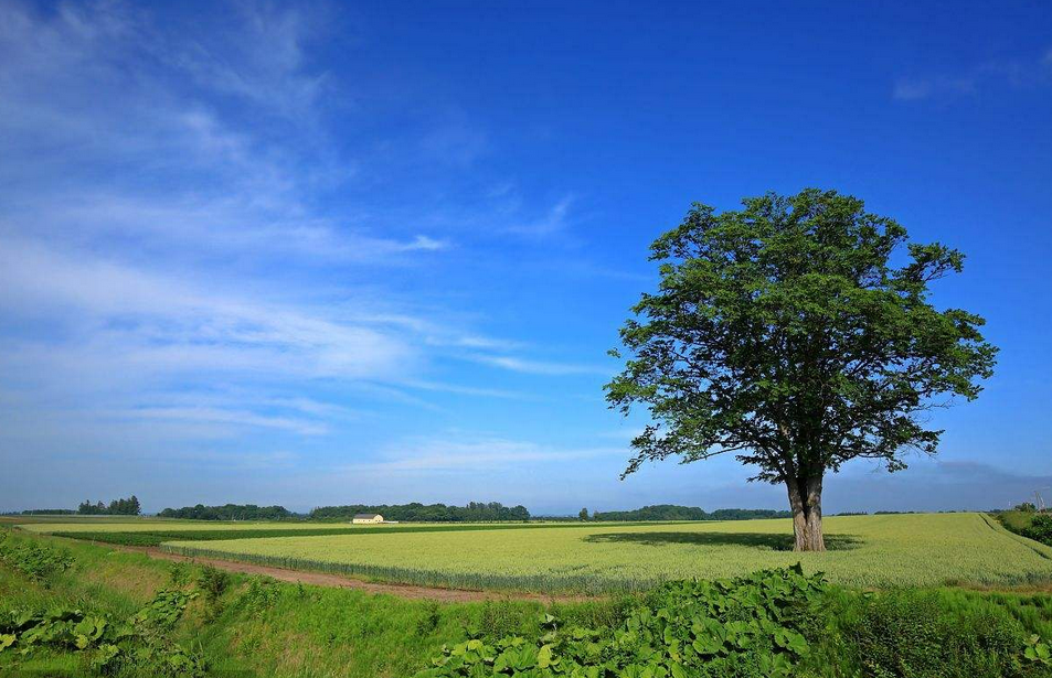 色彩斑斓才是夏季的正确打开方式 色彩斑斓才是夏季的正确打开方式