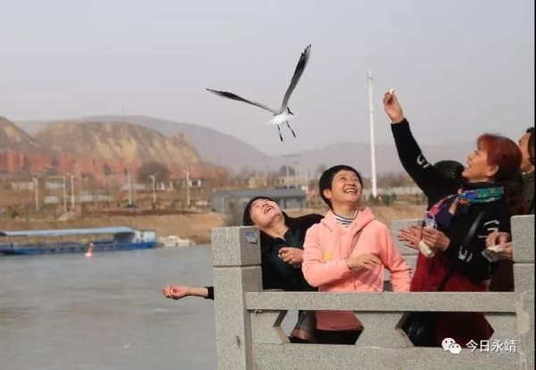 永靖摄协举行春季到永靖来看鸟主题摄影采风