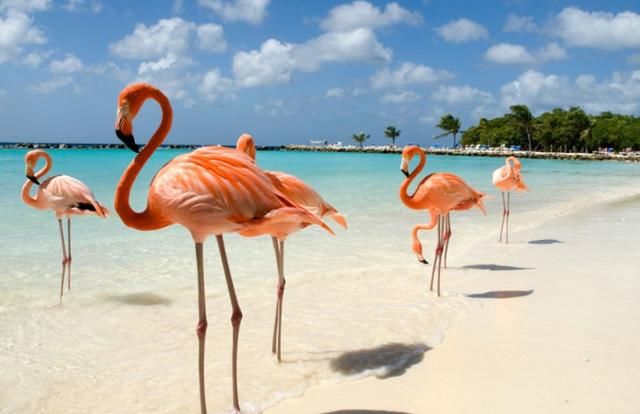 被潜水爱好者誉为 10个全球最迷人的潜水天堂