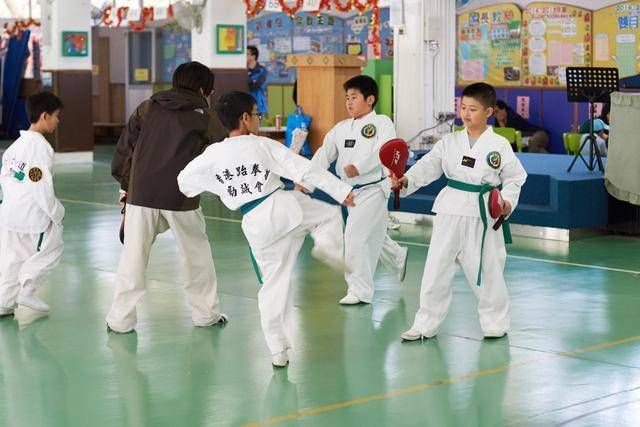 武术,散打,跆拳道让孩子学习那个比较好?