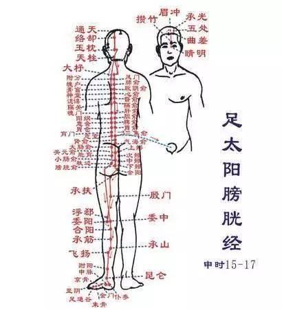 膀胱经千万不能堵!尤其是女人更应该注意!