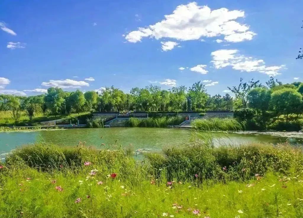 北京温榆河公园地处朝阳,顺义,昌平三区交界,清河,温榆河两河交汇处
