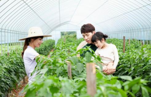 男子办家庭农场,靠租地年收入轻松获得100万元