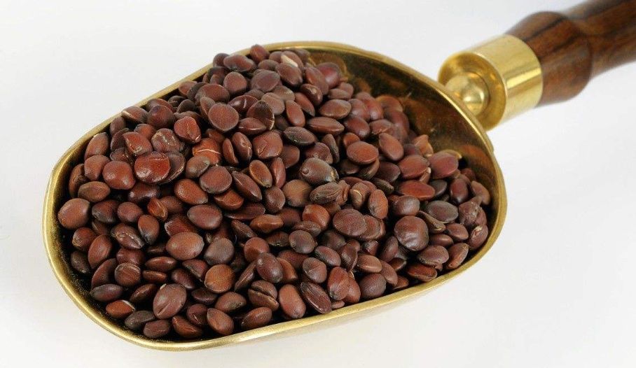 失眠多梦怎么办?酸枣仁泡水喝有用吗?怎么吃