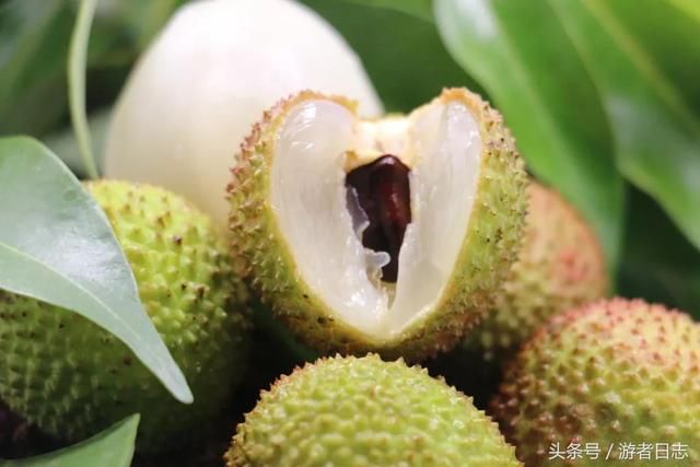 中国荔枝排行榜:哪里的荔枝最好吃?