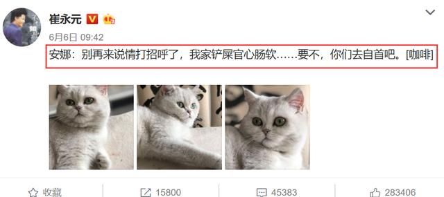 崔永元借铲屎官之名发文,其实还有另一层含义