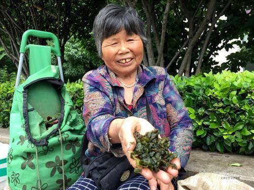 湖北77岁奶奶挖野菜城里售卖,人们却嫌脏怕有