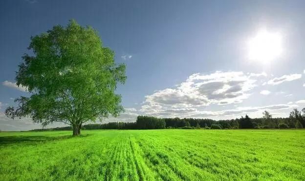 新规 | 2018年农村土地流转新政策出台,谁是真