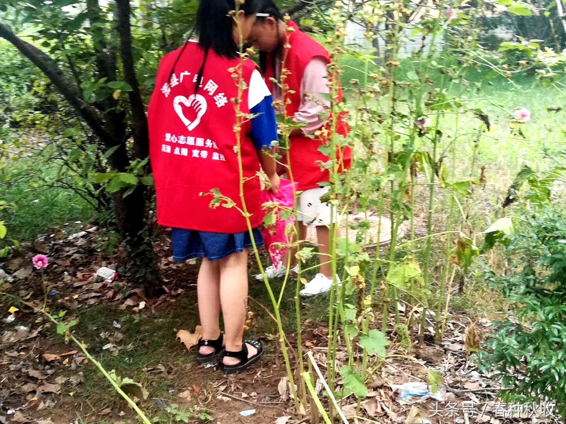 这些孩子走进小区,做起义工,锻炼孩子什么?对