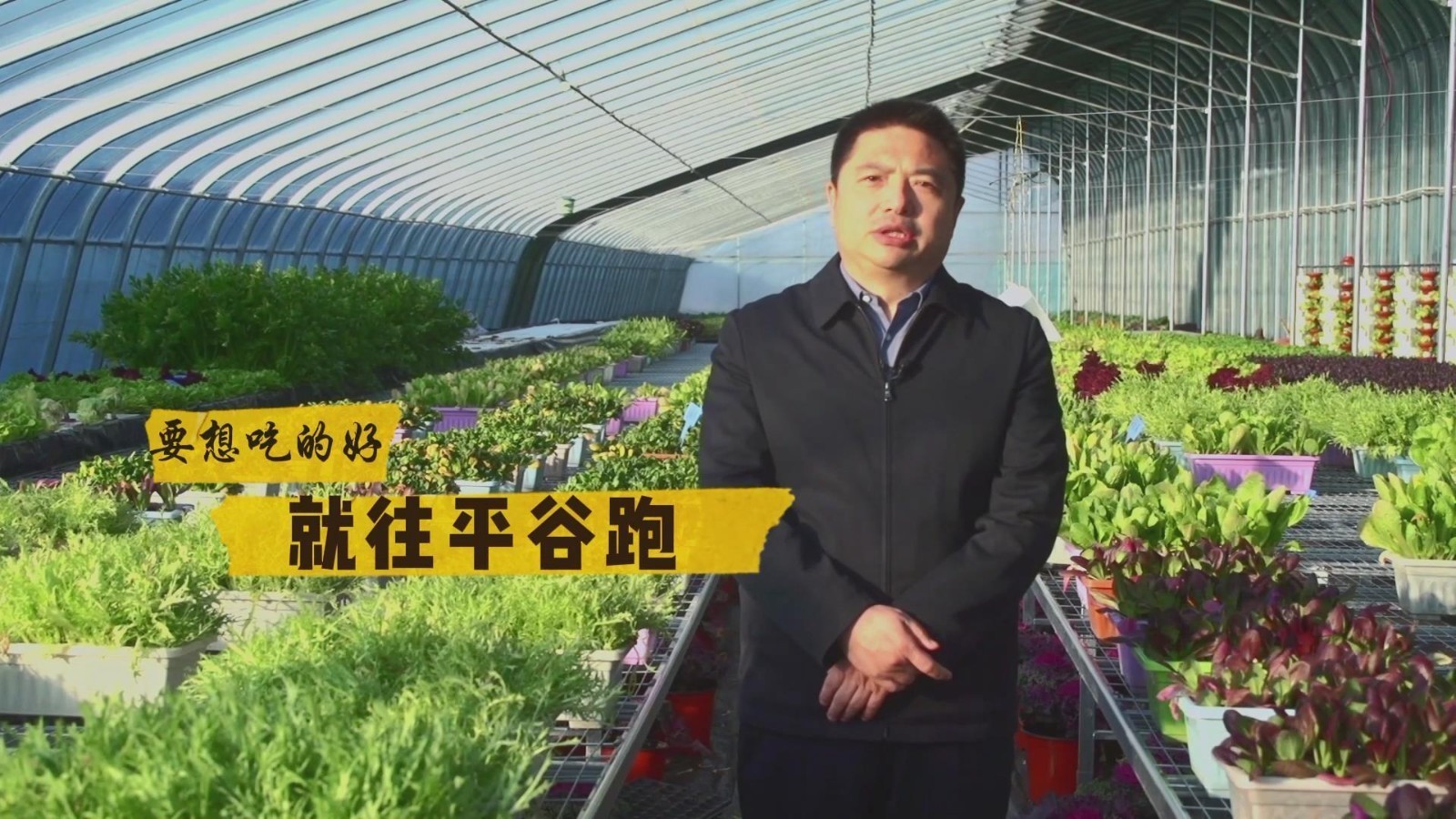 平谷区长变身“推荐官” 带你解锁“首都桃花源”! 平谷区长变身“推荐官” 带你解锁“首都桃花源”!