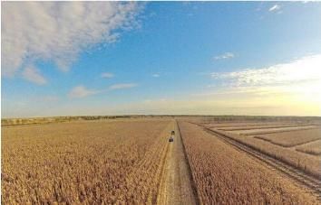 2018农村土地改革出台,这5大方面你务必要清