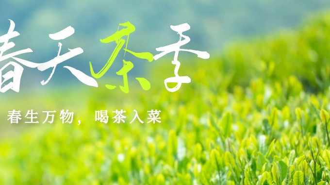 春天该喝这几种养生茶，千万别错过！以茶入菜香更浓
