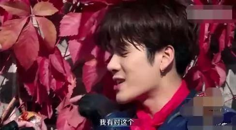 王嘉尔黑料众多,何德何能与鹿晗陈伟霆平起平