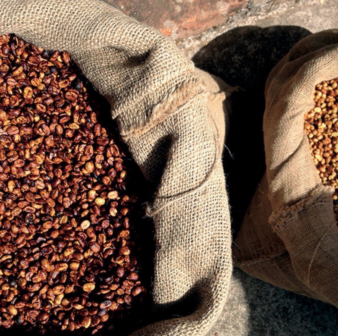 咖啡豆他们从小规模生产商那里,采购高档的,单一品种原产地的有机咖啡