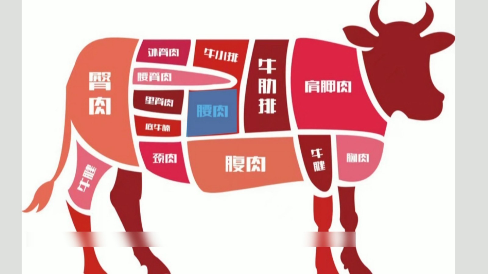 炖牛肉除了牛腩 这个部位更软烂 炖牛肉除了牛腩 这个部位更软烂