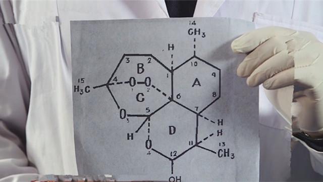 乙醚低温提取方法 成功得到青蒿素