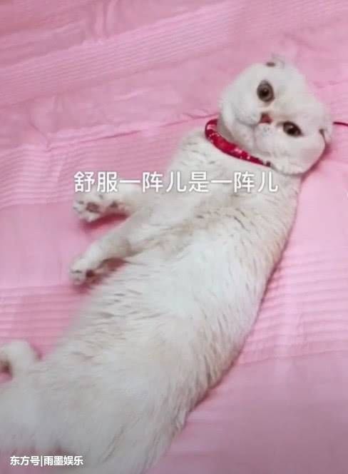 抖音上最火的5大网红,摩登兄弟上榜,最后一个