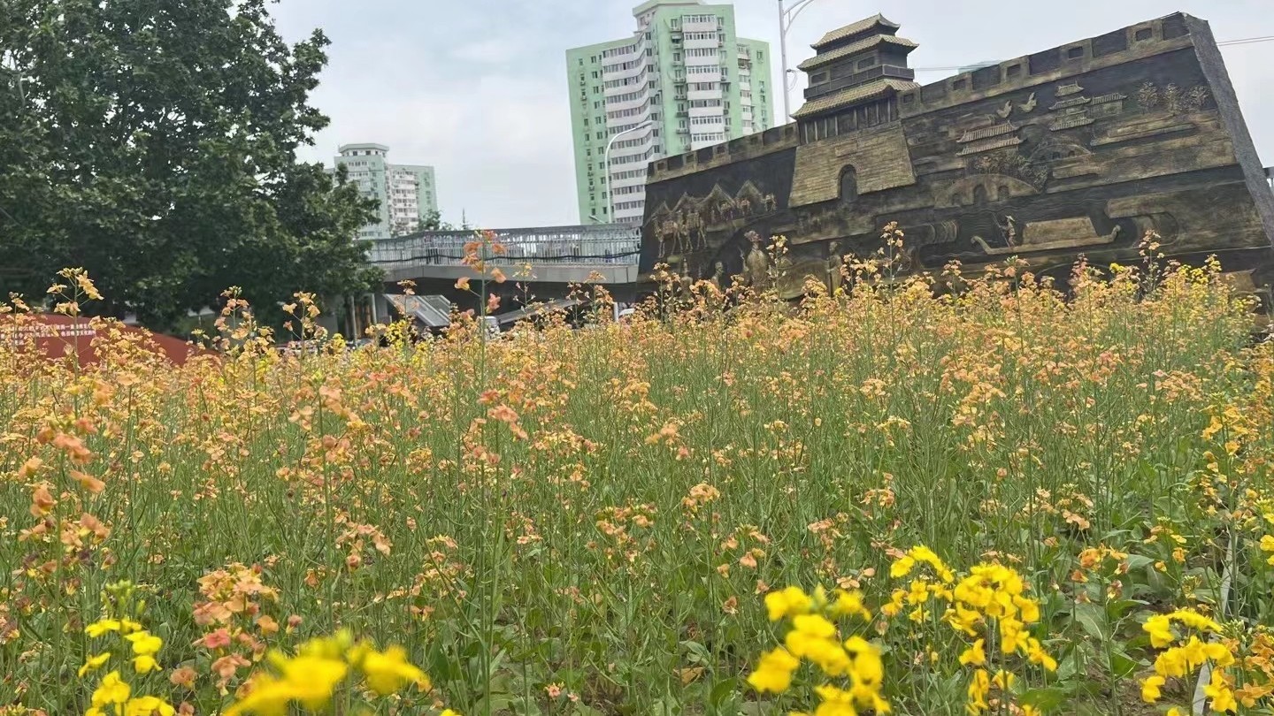 今日晴好 未来气温逐步回升 今日晴好 未来气温逐步回升