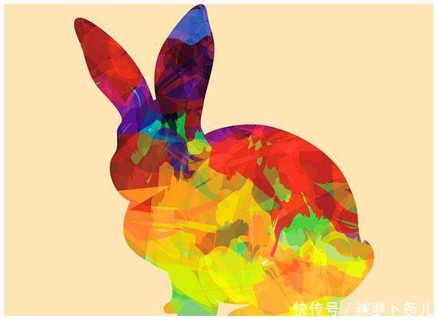 生肖兔今年下半年整体运势如何呢?你应该看看