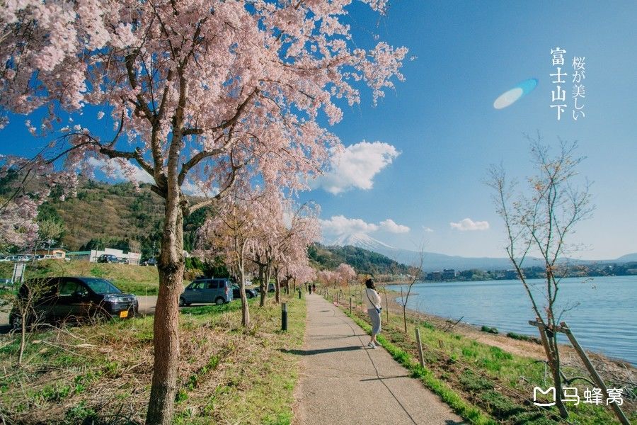 几月观赏富士山好,观赏富士山最佳时间 地点 乘
