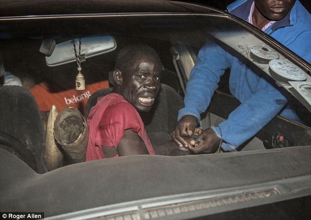 男子偷猎大象锯象牙被抓大哭:妈妈,帮我! 男子偷猎大象锯象牙被抓大哭:妈妈,帮我!