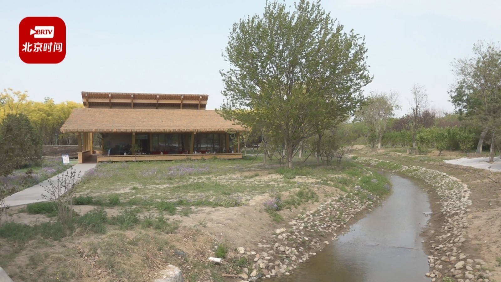 京城赏春探路：南苑森林湿地公园