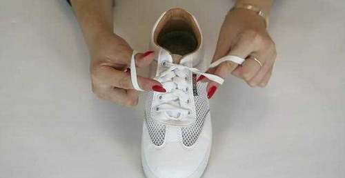 t019a50a266be7d284d.jpg?size=500x258