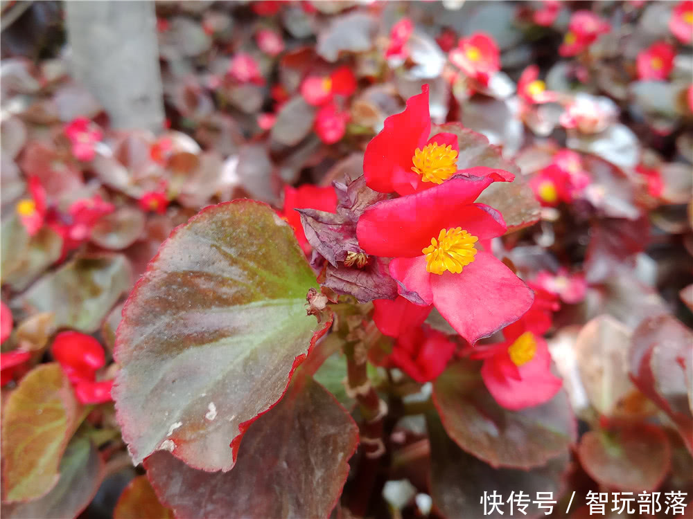 国美手机FenmmyNote评测:声纹识别与全面屏