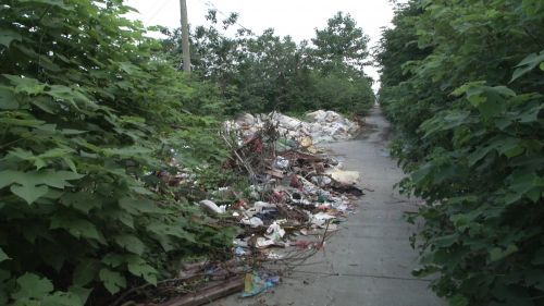 世界环境日:美丽扬州,我们在行动