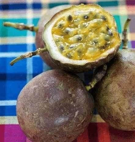世界上6种奇葩水果一个比一个丑,最后一个直接就吐了