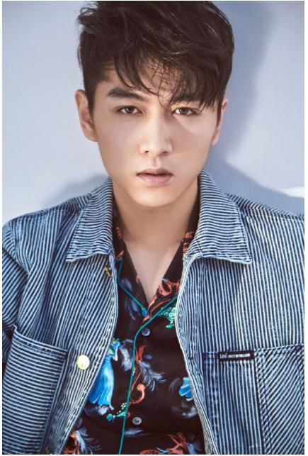 中国十大最帅男明星排名,鹿晗第三林志颖仅排