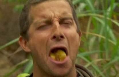 连冒险大王贝尔都不敢吃的东西,却是我们眼中