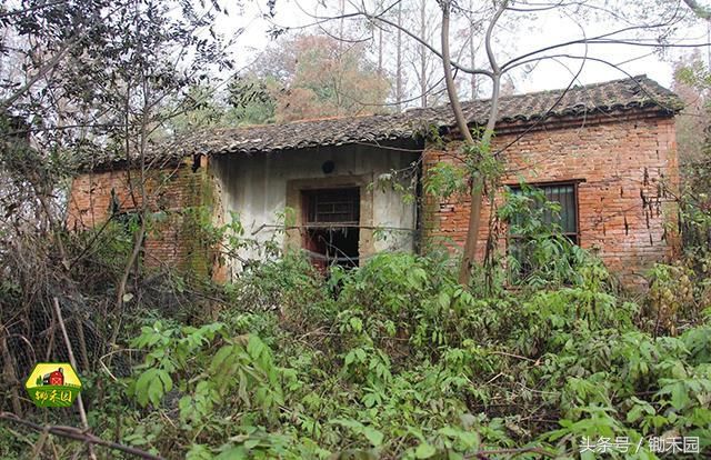 2018农村宅基地又有新规,这三种违法宅基地将