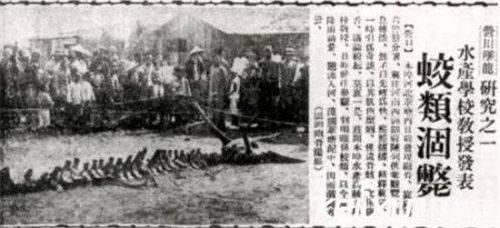 专家发现未知生物化石疑似中国龙,距今2亿多年