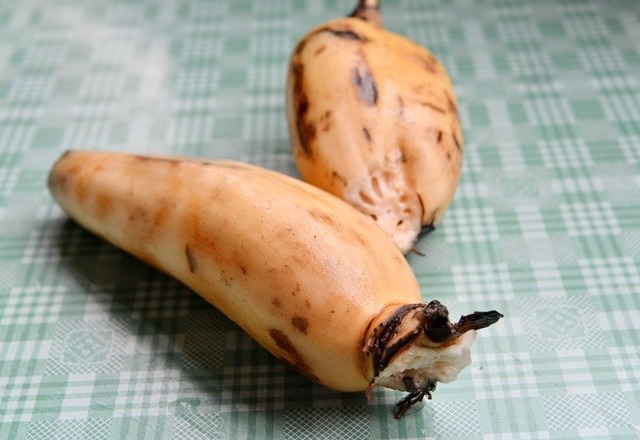 莲藕怎么保存时间长 莲藕的保鲜窍门