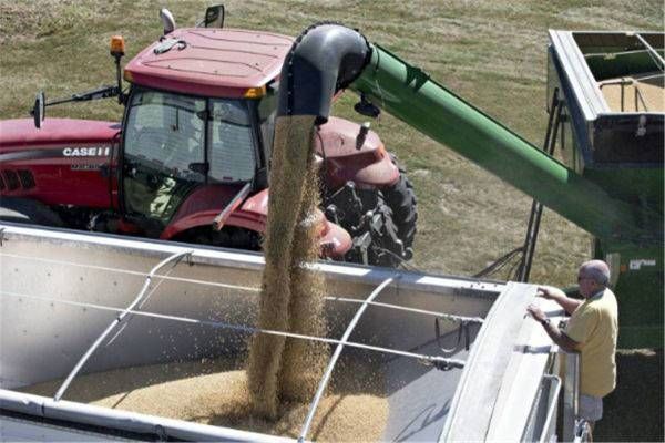 中美贸易战:美国农场主因失去中国订单而损失惨重