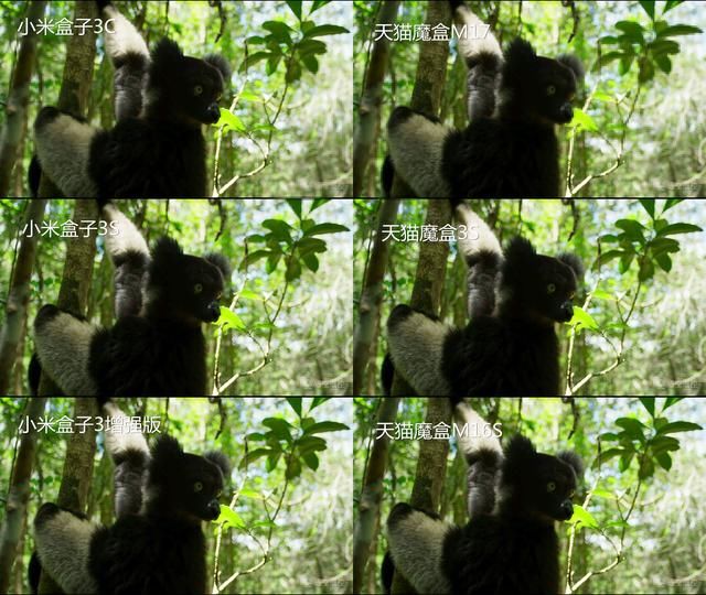 天猫魔盒和小米盒子哪个好?全型号全方位深度