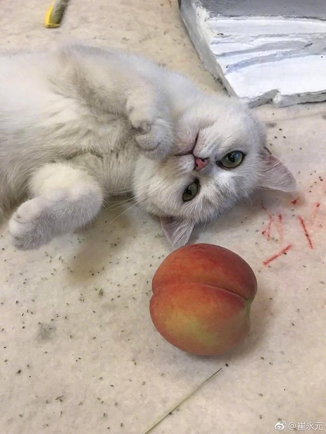 华谊兄弟对质押几乎全部股票公开声明,网友质