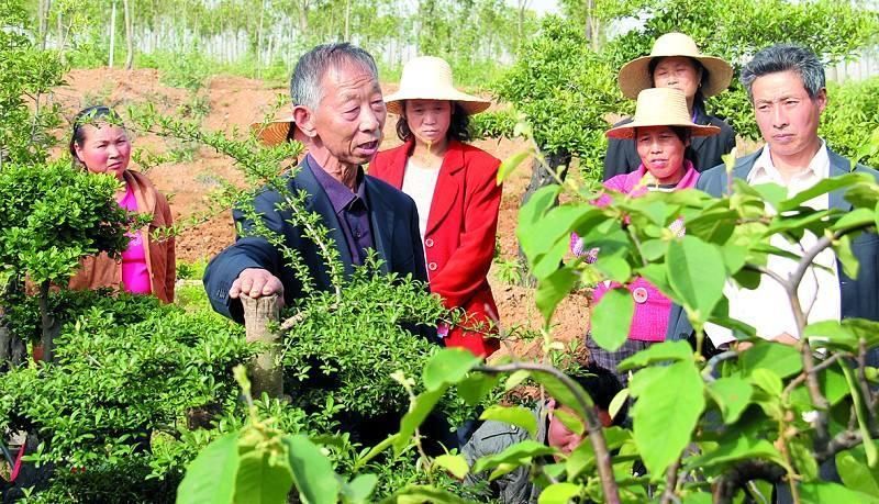 最新适合穷人的创业项目,低成本创业的小本生