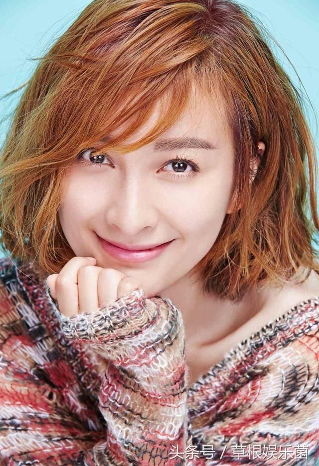 何炅学历,吴昕学历,李湘学历,汪涵学历,差距还是