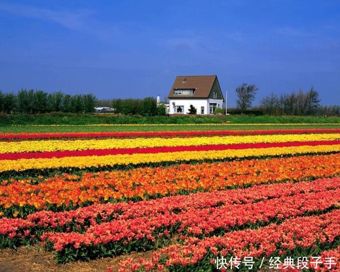 脑筋急转弯:什么东西10个男人抬不起,1个女人