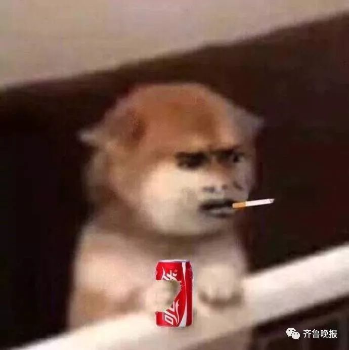 非洲女孩与中国小伙“闪婚” 婚后第3天丈夫一句话让她提出离婚 非洲女孩与中国小伙“闪婚” 婚后第3天丈夫一句话让她提出离婚