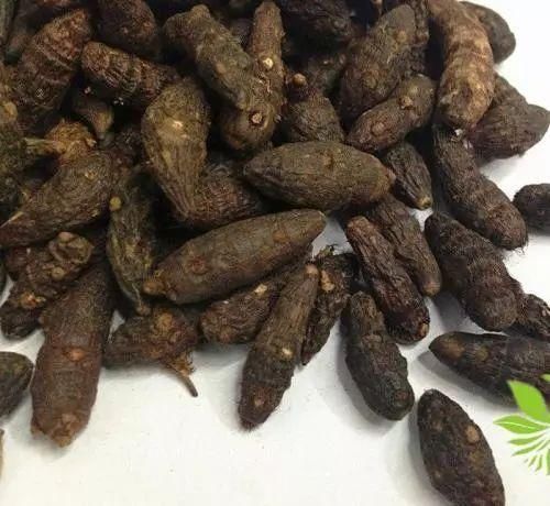 良医说药 | 疏肝解郁良药,妇科必备